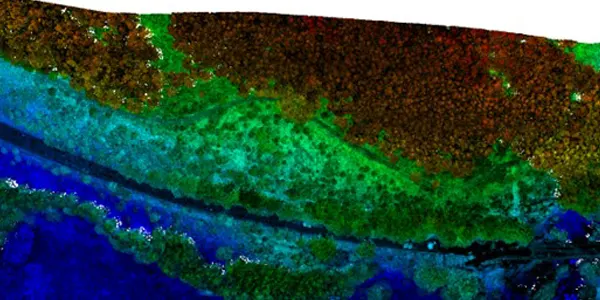 LiDAR Digital Surface Model (DSM)